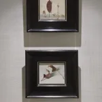 Photography: Douglas Atfield