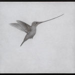 Lee Andre, White Ibis, 2022