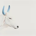 Peter Haslam-Fox, Holy Cow II