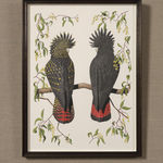 Austin, J, Michael, Cockerel, 2021