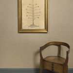 Andrea Collesano, PRIMITIAE