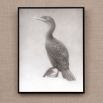 Lee Andre, Snowy Egret, 2020