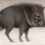 Lee Andre, White Ibis, 2022