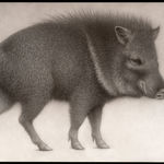 Lee Andre, White Ibis, 2022