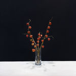 Tanya Brett, Ferdinand the Bull