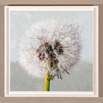 Ben Henriques, Cosmos, 2022