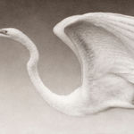 Lee Andre, White Ibis, 2022