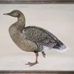 Harriet Bane, The Panther, 2023