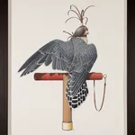 Angus Fisher, The Peregrine Falcon, 2020