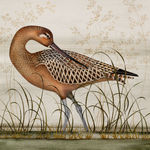 Harriet Bane, The Panther, 2023