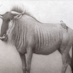 Lee Andre, White Ibis, 2022