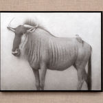 Lee Andre, White Ibis, 2022