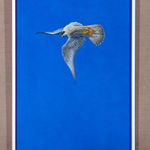 Tim Hayward, Ring-Necked Pheasant - Azure