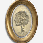 Andrea Collesano, PRIMITIAE