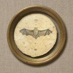 Andrea Collesano, PRIMITIAE