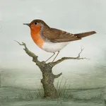 Harriet Bane, The Panther, 2023