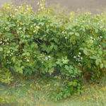 Jane Wormell, Blackberry Hedge II
