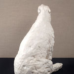 Rosie Sanders, Seeds of Time, 2023