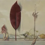 Susan Angharad Williams, Fuchsias