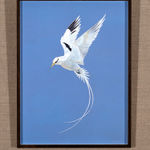 Tim Hayward, Ring-Necked Pheasant - Azure