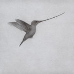 Lee Andre, White Ibis, 2022