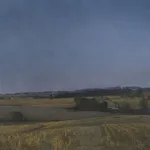 Kate Nessler, Bearded Iris Yellow