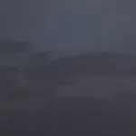 David Grossmann, Autumn Birds and Falling Leaves, 2021