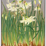 Jane Wormell, Blackberry Hedge II