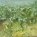 Jane Wormell, Blackberry Hedge II