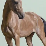 James Lynch, Goose I, 1991