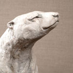 Rosie Sanders, Seeds of Time, 2023