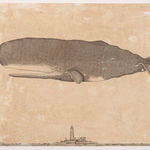 Andrea Collesano, MELODIAM , 2022