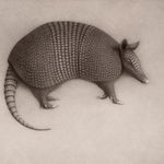 Lee Andre, White Ibis, 2022