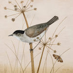 Tracy Rees, Birdsong, 2022