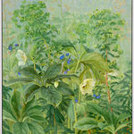 Jane Wormell, Blackberry Hedge II