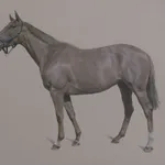 Michael J Austin, Equus II