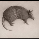 Lee Andre, White Ibis, 2022