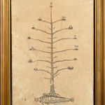 Andrea Collesano, PRIMITIAE