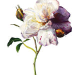 Tanya Brett, Ferdinand the Bull