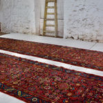 Karabagh runner, the Caucasus