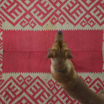 Swedish design carpet