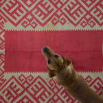 Swedish design carpet