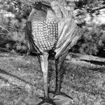 Mender's Marker, 2017