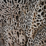 Pragati Mathur, Stand Alone