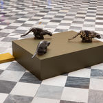 Thumbnail of additional image