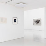 The Estate of Rose Finn-Kelcey, 2020