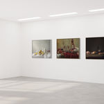 Katerina Belkina, Constant, 2015