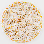 Glenn Kaino, In Search of New Systems (Logarithmic), 2016