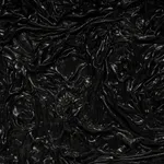 Allana Clarke, Revenant , 2023