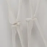 Emma Davies, Cooper Creek, 2026